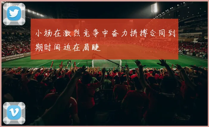 小杨在激烈竞争中奋力拼搏合同到期时间迫在眉睫